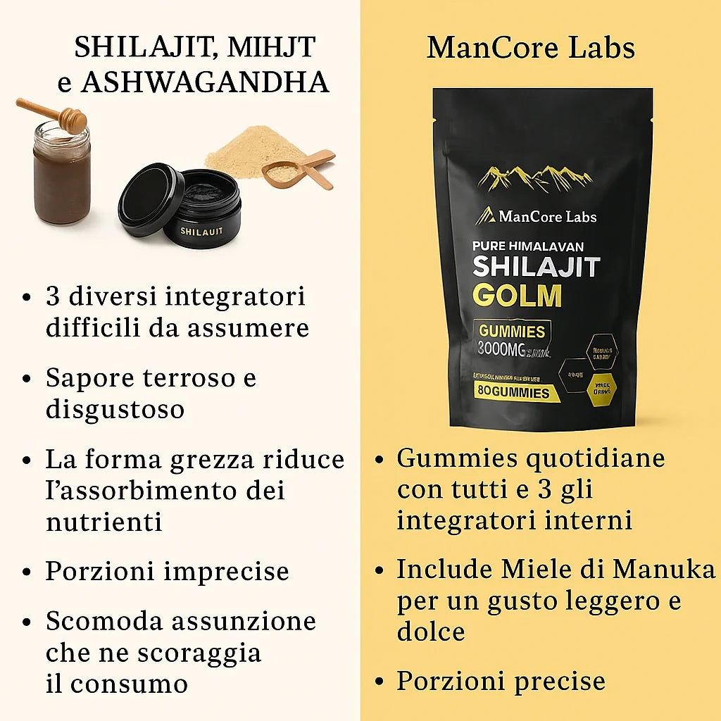 GOMME DI SHILAJIT PURE