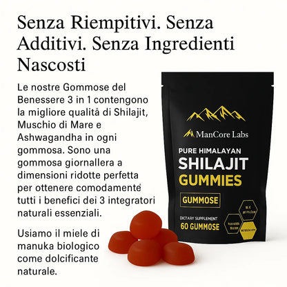 GOMME DI SHILAJIT PURE