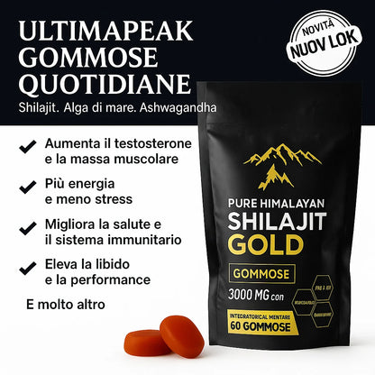 GOMME DI SHILAJIT PURE