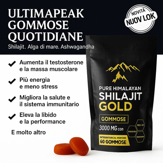 GOMME DI SHILAJIT PURE